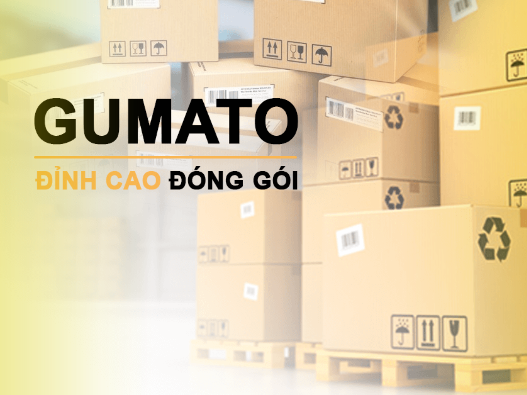 cong-ty-tnhh-sx-tm-carton-gumato